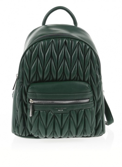 David Jones Backpack  Green
